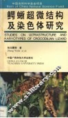 鳄蜥超微结构及染色体研究