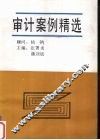审计案例精选
