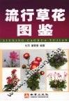流行草花图鉴