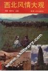 西北风情大观