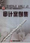 审计案例集