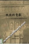 燃烧的青春  一个大学生志愿军的“朝鲜战地手记”