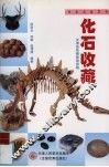化石收藏