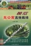 黄瓜无公害高效栽培