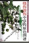 烧伤烫伤中草药原色图谱