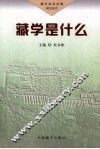 藏学是什么