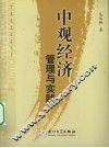 中观经济管理与实践