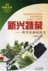 新兴蔬菜  西洋菜栽培技术