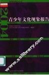 青少年文化现象报告  2004