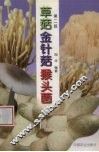 草菇  金针菇  猴头菌