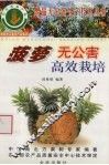 菠萝无公害高效栽培