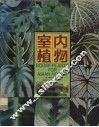 室内植物