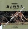 逝去的时光  袋鼠·熊