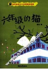 六年级的猫