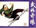 武林奇缘  上