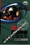 放心蔬菜种植关键技术