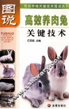图说高效养肉兔关键技术