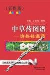 中草药图谱  清热祛湿  彩图版