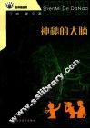 神奇的大脑