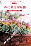 种花就是种心情  都市阳台花园全攻略