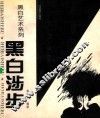 黑白艺术系列  黑白涉步  图集