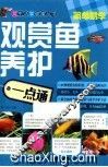 观赏鱼养护一点通