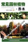 常见园林植物  乔木