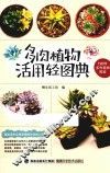 多肉植物活用轻图典