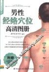 男性经络穴位高清图册