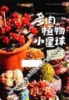 多肉植物小星球