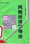 风险经济学导论