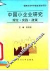 中国小企业研究  理论、实践、政策