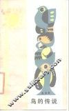 鸟的传说