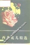 西北花儿精选