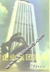 企业集团实务