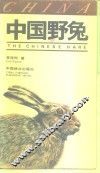 中国野兔