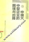中国大中型企业的困境与出路