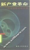 新产业革命  技术突破的冲击波