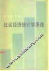 社会经济统计学原理