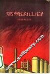 燃烧的山谷