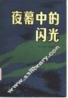 夜幕中的闪光