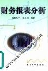 财务报表分析