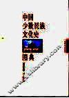 中国少数民族文化史图典  第5卷  西北卷  下