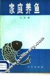 家庭养鱼