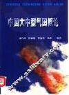 中国大中型气田概论
