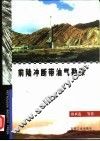 前陆冲断带油气勘探