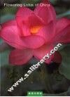 中国荷花