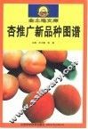 杏推广新品种图谱
