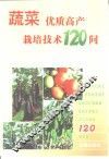 蔬菜优质高产栽培技术120问