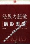 泌尿内腔镜摄影图谱  第2版